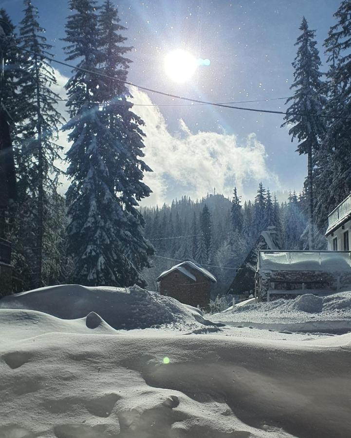 Jahorina Villa In Dış mekan fotoğraf